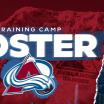 Avalanche Announce 2024 Training Camp Roster