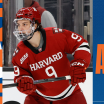 Islanders Acquire Defenseman Ryan Healey from Minnesota Wild