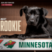 MINNESOTA WILD WELCOMES RESCUE DOG ROOKIE TO THE TEAM 100424