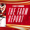 The Farm Report - 20.11.24 