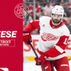Red Wings recall Zach Aston-Reese from Grand Rapids under emergency conditions