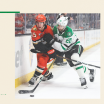 Heika's Take: Dallas Stars unable to match Anaheim Ducks energy, drop on second night of back-to-back 011426