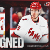 Canes Sign Brind'Amour, Fensore To One-Year Contracts
