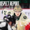 Prospect Report 111324