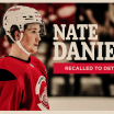 Red Wings recall Nate Danielson from Grand Rapids