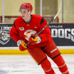 Battaglia Looking To Build On Stellar OHL Campaign