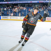 Chicago Wolves' Season Ends In Calder Cup Finals