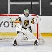 VGK Rookie Report: Sept 15, 2024