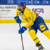 2025 NHL Draft: Central Division needs