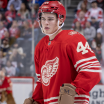 Axel Sandin-Pellikka evolving quickly for Detroit
