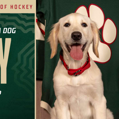 Minnesota Wild Big Pet Premium Jersey