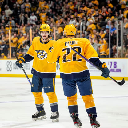 Have the Nashville Predators Improved At All After Free Agency? - Stadium