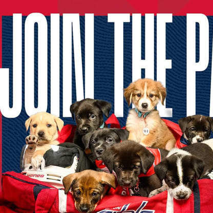 Washington Capitals - Let's see those dog names, #ALLCAPS fans!  #CapsCaninesNight, PEDIGREE Foundation