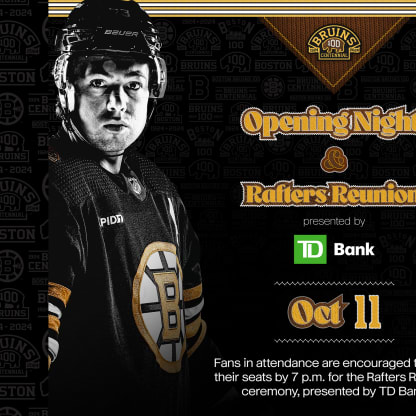 Official boston bruins store website