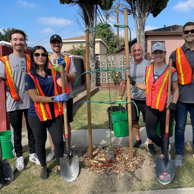 Tree Plantings