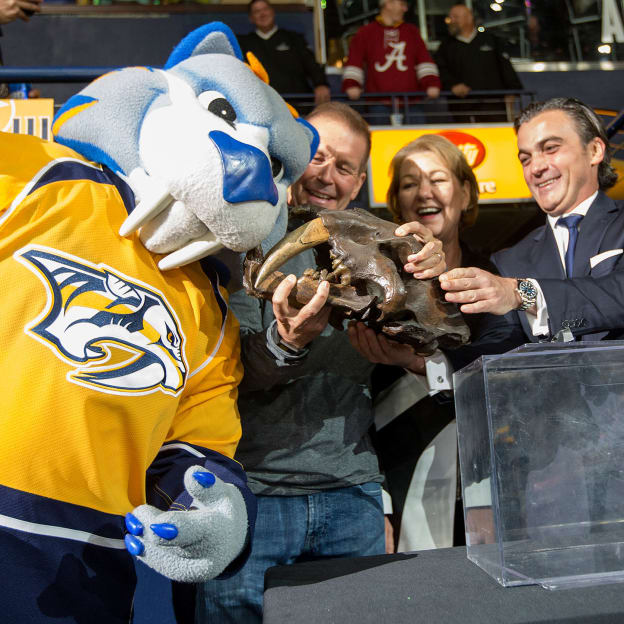  Predators, Lightning unveil 2022 Stadium Series