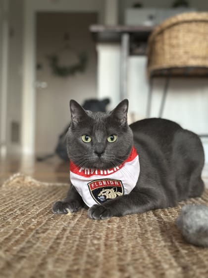 Beastie - @maddy_blake10