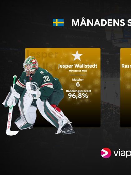 Månadens svenska NHL stjärnor november 2025