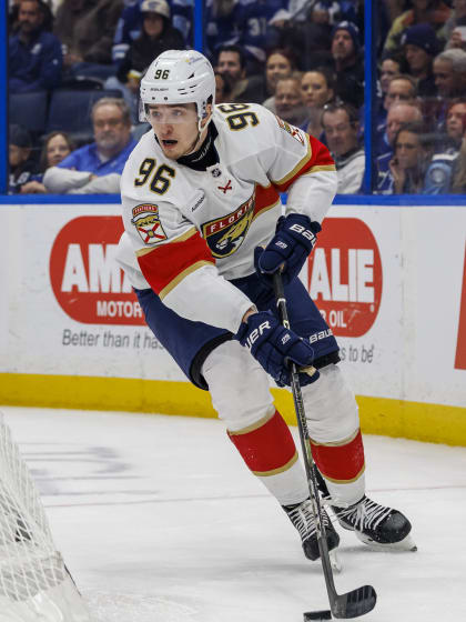 Mikuláš Hovorka se chystá na domácí debut