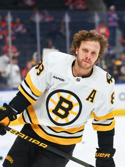 David Pastrňák ponese na zahájení OH 2026 českou vlajku