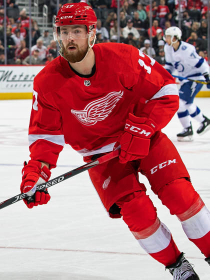 Hronek v Hradci ukázal detroitskou formu