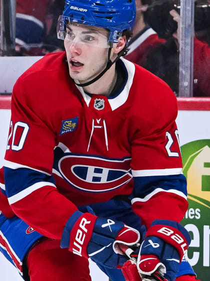 Slovenská nominácia z pohľadu čísel