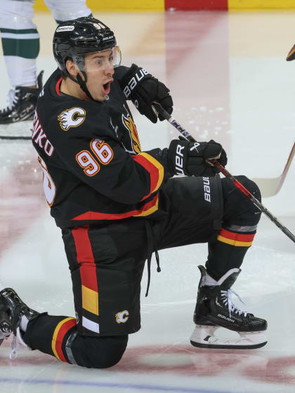 Photo Gallery - Flames vs. Wild 23.11.24