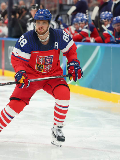 Preview zápasu Česko - Francie