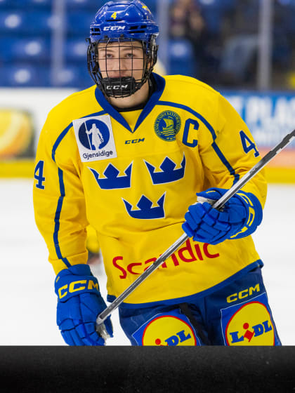 Leo Sahlin Wallenius 6.4.24 | DRAFT