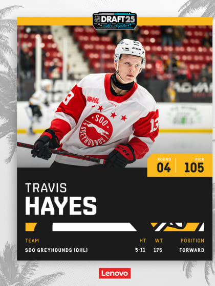 08_Hayes