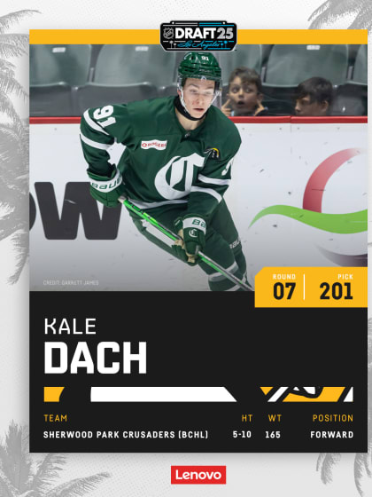 13_Dach