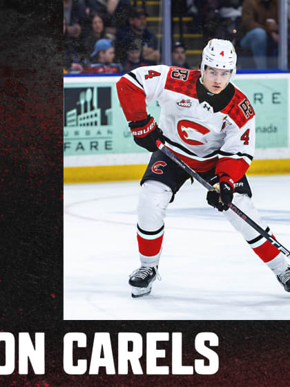 Carels | DRAFT 6.15.26