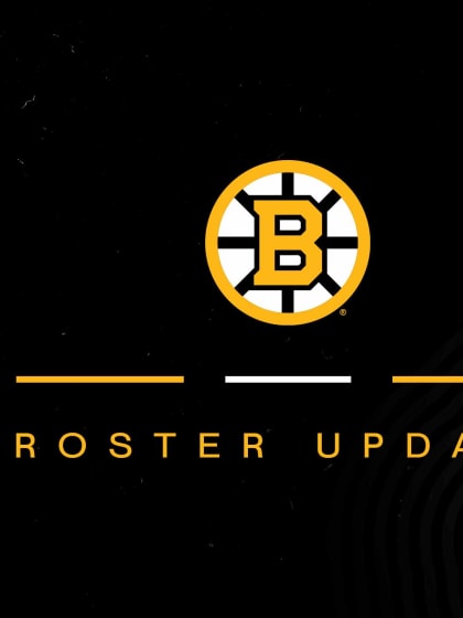 Bruins Recall Lukas Reichel on Emergency Basis