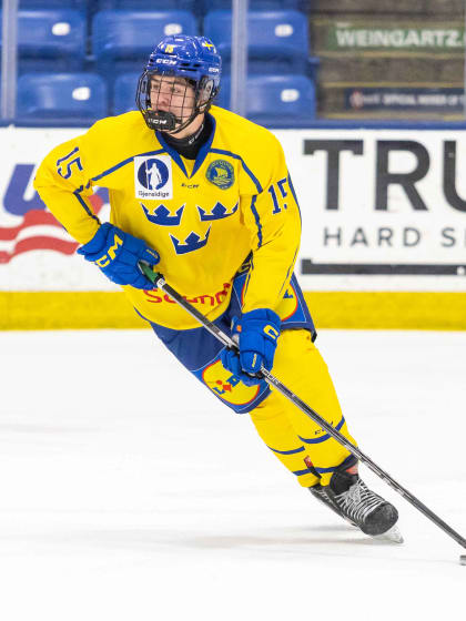 Anton Frondell | Prospect Profile