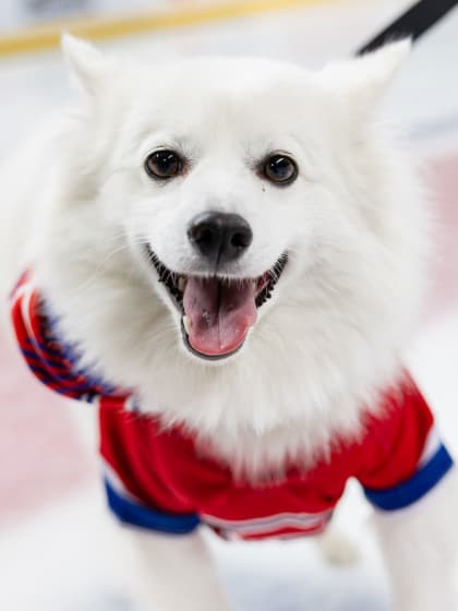Festi-chien des Canadiens au Centre Bell 
