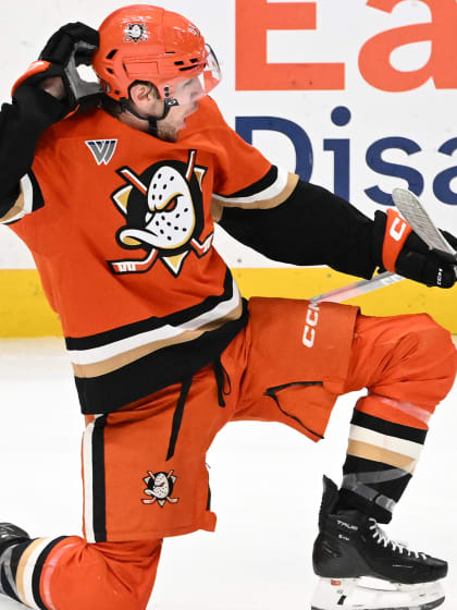Sennecke řádí a Ducks srovnali