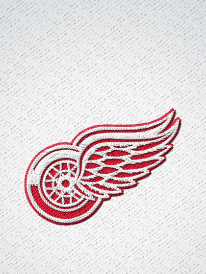 Detroit Red Wings White Wallpaper