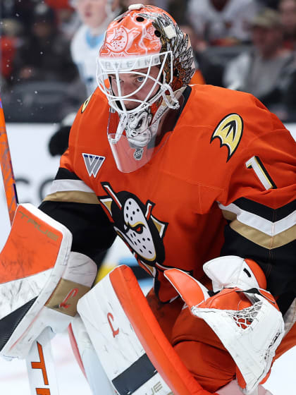 Jak Dostál a další gólmani ladí brusle