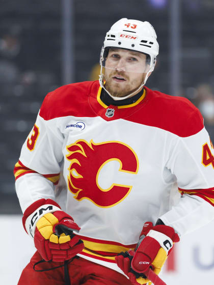 Klapka o budoucnosti Flames