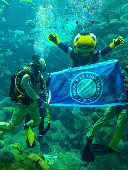 Thunderbug Tampa Bay Lightning scuba diving Florida Aquarium