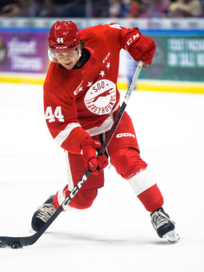 Brady Martin preparing for NHL, later career on farm 