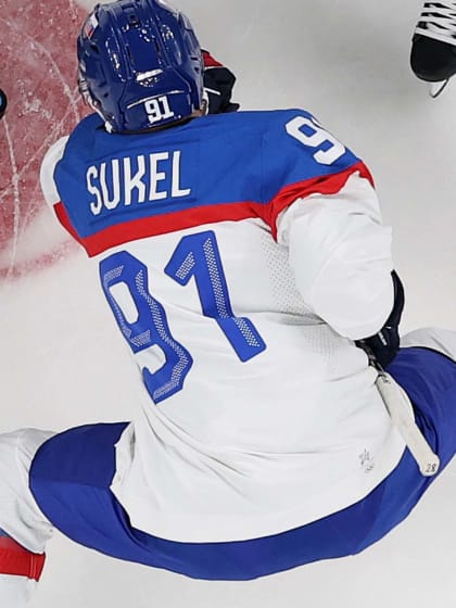 Litvínov bude spoléhat na olympioniky