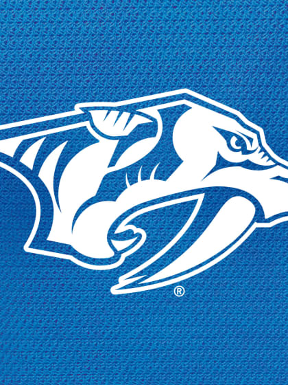 Monday, December 15 vs. Predators