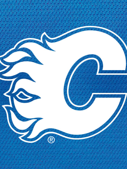 Tuesday, November 11 vs. Flames