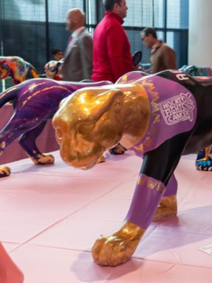 Hockey Fights Cancer NHL daily digest 2025-26