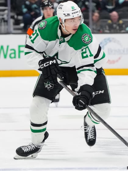 nhl fantasy hockey top 100 forward rankings pools