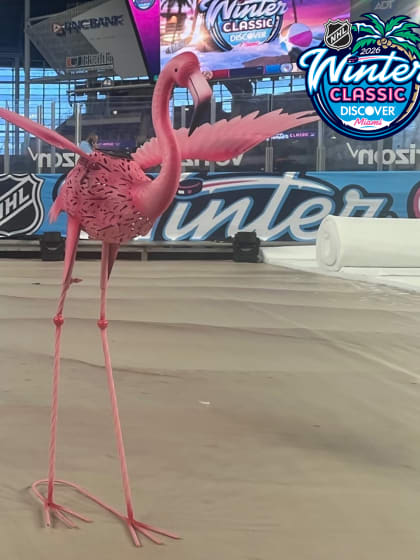 2026 NHL Winter Classic setup includes flamingos, palm trees