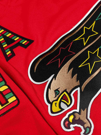 Color of Hockey: Capitals honor Black History Month