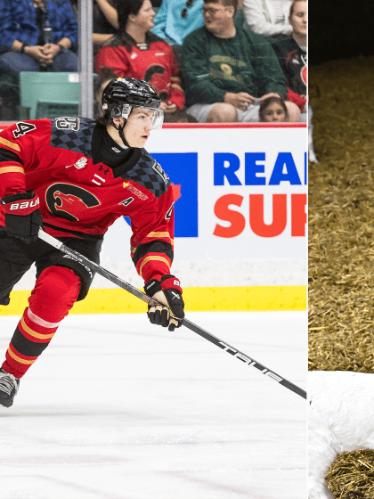Carson Carels balances farm chores, draft stock ahead of 2026 NHL Draft