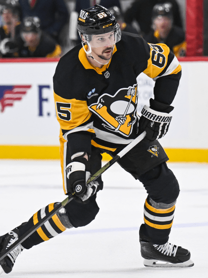 nhl fantasy hockey top 50 defenseman rankings pools